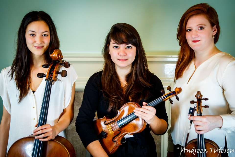 Onyx String Trio Quartet