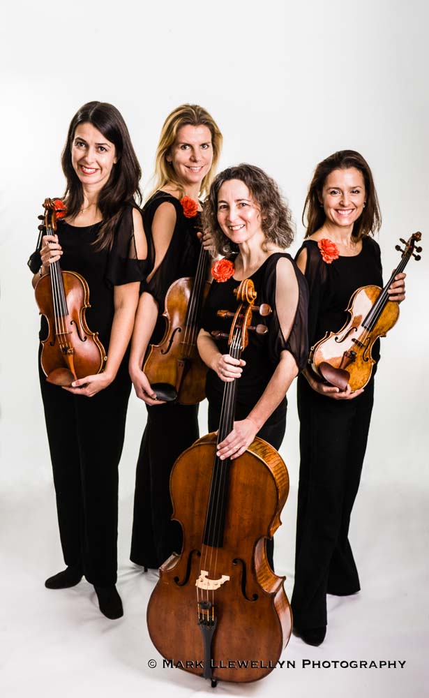 Redmore String Quartet String Duo, Trio Or Quartet